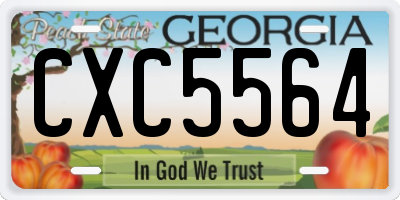 GA license plate CXC5564
