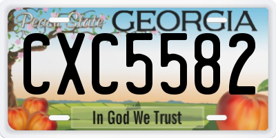 GA license plate CXC5582
