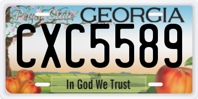 GA license plate CXC5589