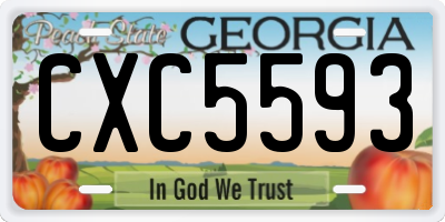 GA license plate CXC5593