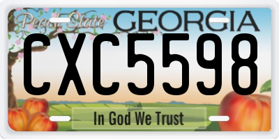 GA license plate CXC5598