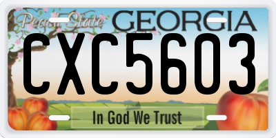 GA license plate CXC5603
