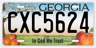 GA license plate CXC5624