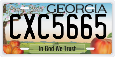 GA license plate CXC5665