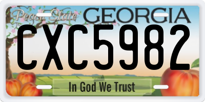 GA license plate CXC5982