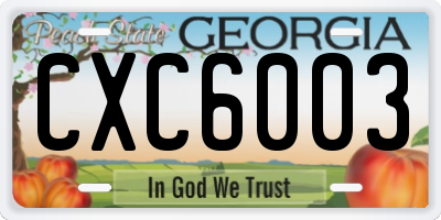 GA license plate CXC6003