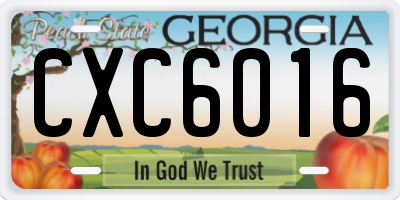 GA license plate CXC6016