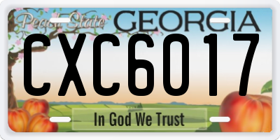 GA license plate CXC6017