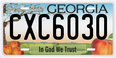 GA license plate CXC6030