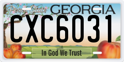 GA license plate CXC6031