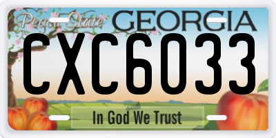 GA license plate CXC6033