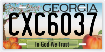 GA license plate CXC6037
