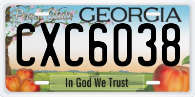 GA license plate CXC6038