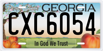 GA license plate CXC6054