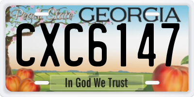 GA license plate CXC6147