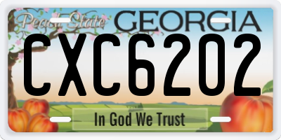 GA license plate CXC6202