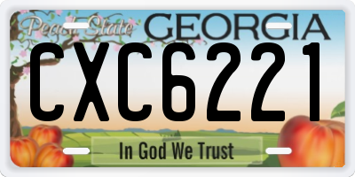 GA license plate CXC6221
