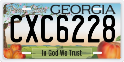 GA license plate CXC6228
