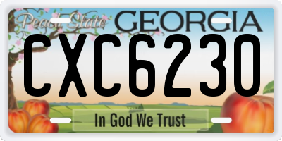GA license plate CXC6230
