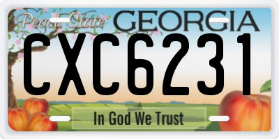 GA license plate CXC6231