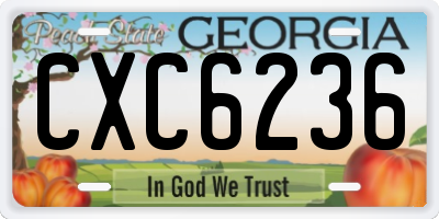 GA license plate CXC6236