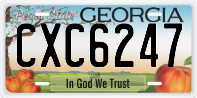 GA license plate CXC6247
