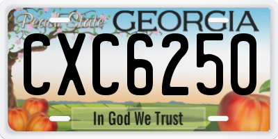 GA license plate CXC6250