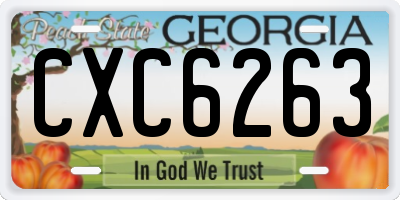 GA license plate CXC6263