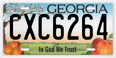 GA license plate CXC6264