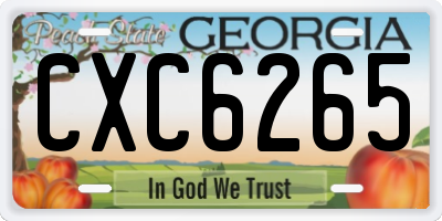 GA license plate CXC6265