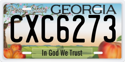 GA license plate CXC6273