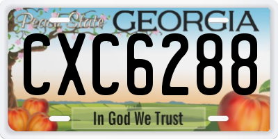 GA license plate CXC6288