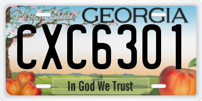 GA license plate CXC6301