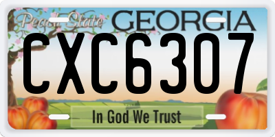 GA license plate CXC6307