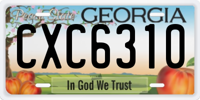 GA license plate CXC6310