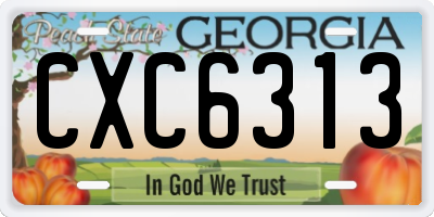 GA license plate CXC6313