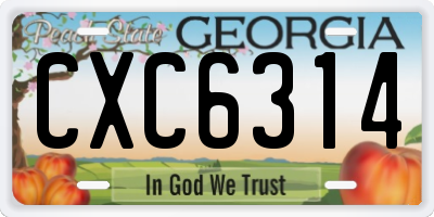 GA license plate CXC6314