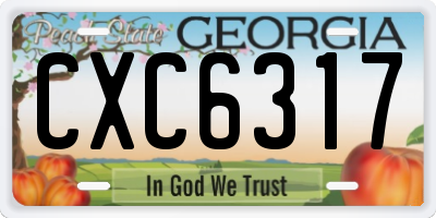 GA license plate CXC6317