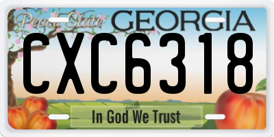GA license plate CXC6318