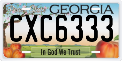 GA license plate CXC6333