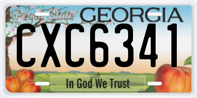 GA license plate CXC6341