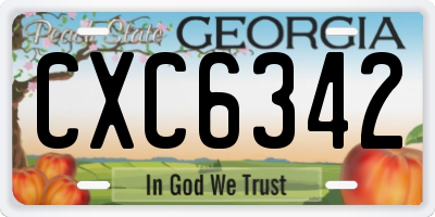 GA license plate CXC6342