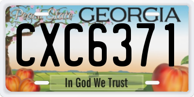 GA license plate CXC6371