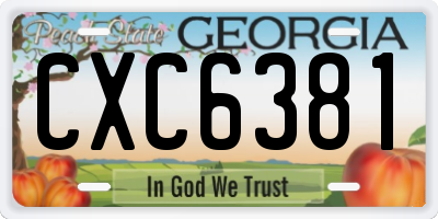 GA license plate CXC6381