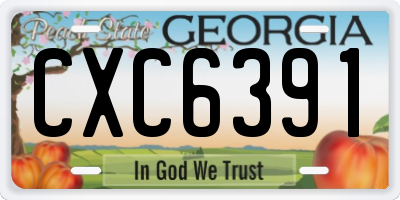 GA license plate CXC6391