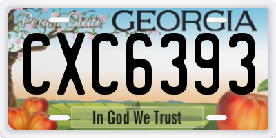 GA license plate CXC6393
