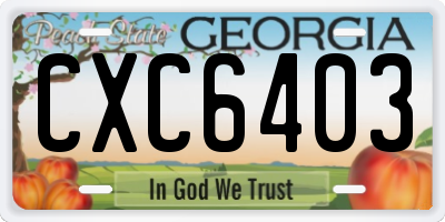 GA license plate CXC6403