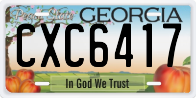 GA license plate CXC6417