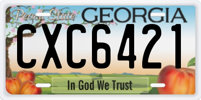 GA license plate CXC6421