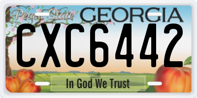 GA license plate CXC6442